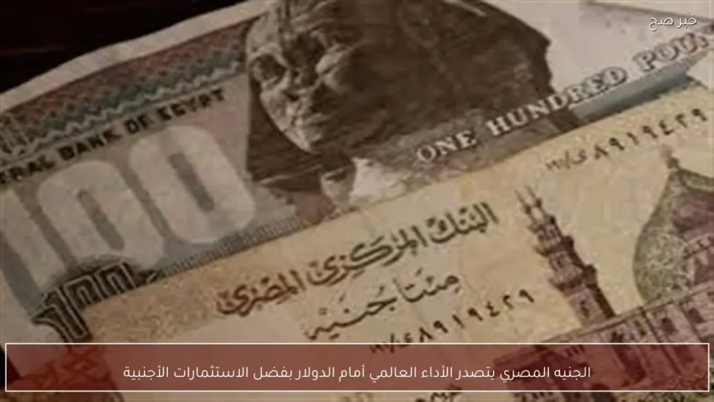 الجنيه المصري يتصدر الأداء العالمي أمام الدولار بفضل الاستثمارات الأجنبية