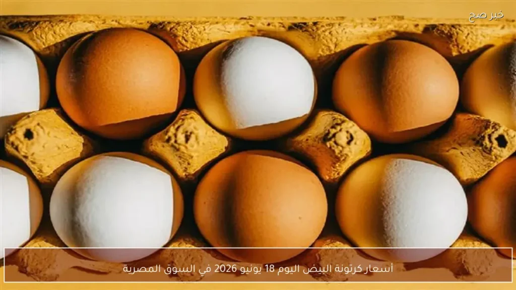أسعار كرتونة البيض اليوم 18 يونيو 2026 في السوق المصرية