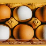 أسعار كرتونة البيض اليوم 18 يونيو 2026 في السوق المصرية