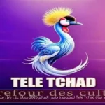 تردد قناة Tele Tchad لمشاهدة كأس العالم 2026 مجانًا على نايل سات