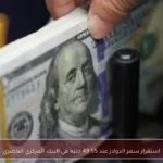 استقرار سعر الدولار عند 49.55 جنيه في البنك المركزي المصري