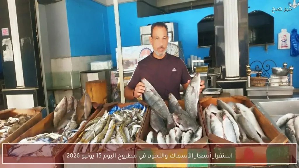 استقرار أسعار الأسماك واللحوم في مطروح اليوم 15 يونيو 2026