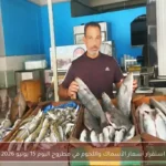استقرار أسعار الأسماك واللحوم في مطروح اليوم 15 يونيو 2026