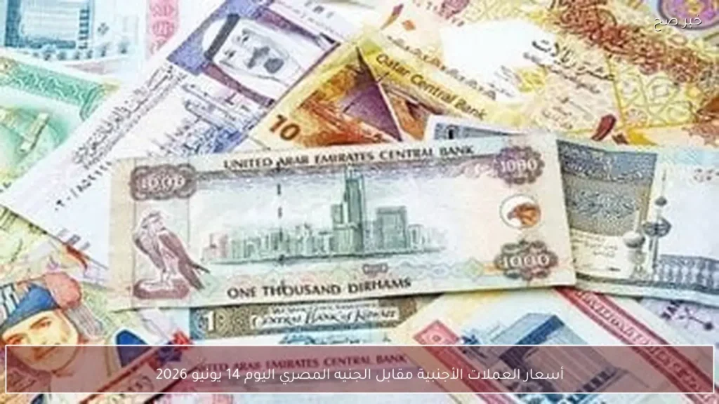 أسعار العملات الأجنبية مقابل الجنيه المصري اليوم 14 يونيو 2026