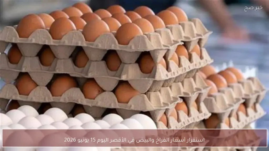 استقرار أسعار الفراخ والبيض في الأقصر اليوم 15 يونيو 2026