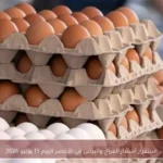استقرار أسعار الفراخ والبيض في الأقصر اليوم 15 يونيو 2026
