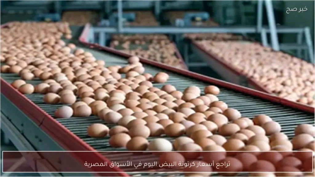تراجع أسعار كرتونة البيض اليوم في الأسواق المصرية