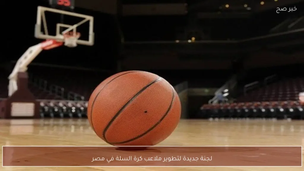 لجنة جديدة لتطوير ملاعب كرة السلة في مصر