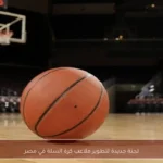 لجنة جديدة لتطوير ملاعب كرة السلة في مصر