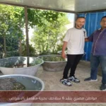 مواطن مصري ينقذ 6 سلاحف بحرية مهددة بالانقراض