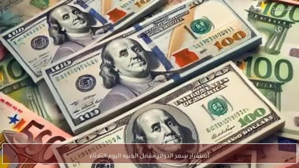 استقرار سعر الدولار مقابل الجنيه اليوم الثلاثاء