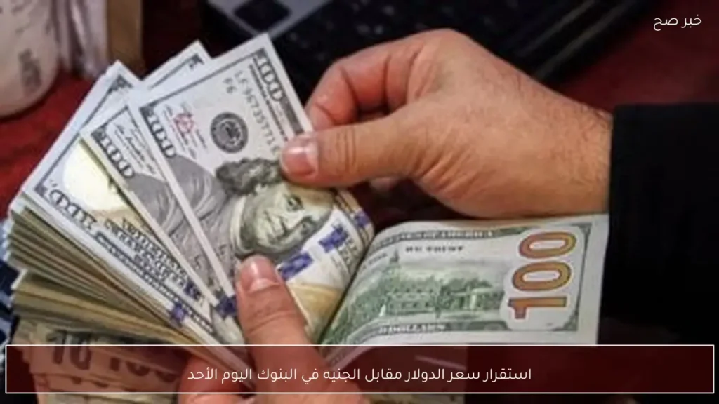 استقرار سعر الدولار مقابل الجنيه في البنوك اليوم الأحد
