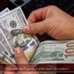 استقرار سعر الدولار مقابل الجنيه في البنوك اليوم الأحد