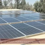 تركيب محطة شمسية لدعم وحدة غربلة النباتات الطبية في عرب العوامر