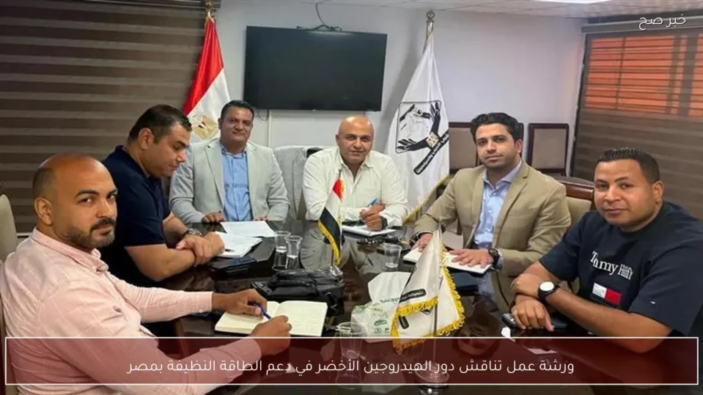 ورشة عمل تناقش دور الهيدروجين الأخضر في دعم الطاقة النظيفة بمصر