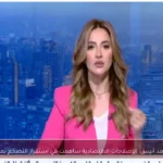 محمد أنيس: الإصلاحات الاقتصادية ساهمت في استقرار التضخم بمصر