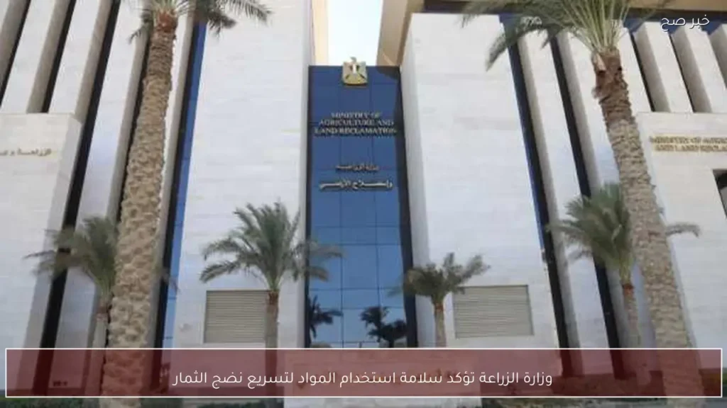 وزارة الزراعة تؤكد سلامة استخدام المواد لتسريع نضج الثمار