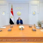 السيسي يشدد على تحسين جودة التغذية الكهربائية وكفاءة الوقود التقليدي