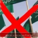 باحث: ثورة 30 يونيو حمت مصر من خطر الإخوان