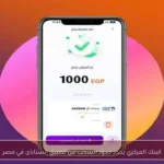 البنك المركزي يحدد حدود السحب من تطبيق إنستاباى في مصر