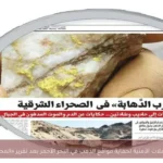 تكثيف الحملات الأمنية لحماية مواقع الذهب في البحر الأحمر بعد تقرير «المصري اليوم»