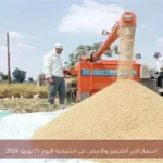 أسعار الأرز الشعير والأبيض في الشرقية اليوم 15 يونيو 2026