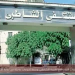 تحقيقات النيابة مع طبيبة الشاطبي وسط إجراءات عاجلة من نقابة الأطباء