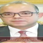 مصر والأمم المتحدة تعززان التعاون في مجال التحول الأخضر