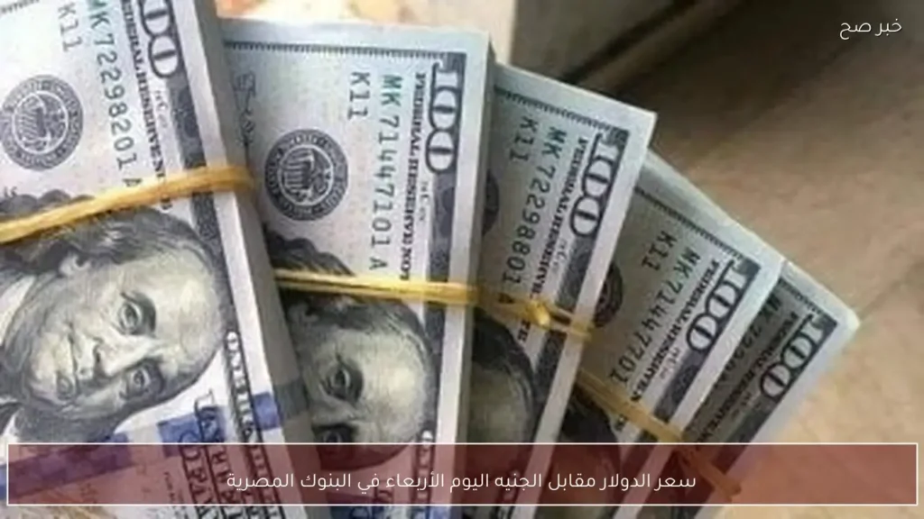 سعر الدولار مقابل الجنيه اليوم الأربعاء في البنوك المصرية