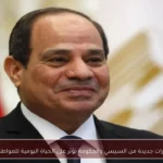 قرارات جديدة من السيسي والحكومة تؤثر على الحياة اليومية للمواطنين