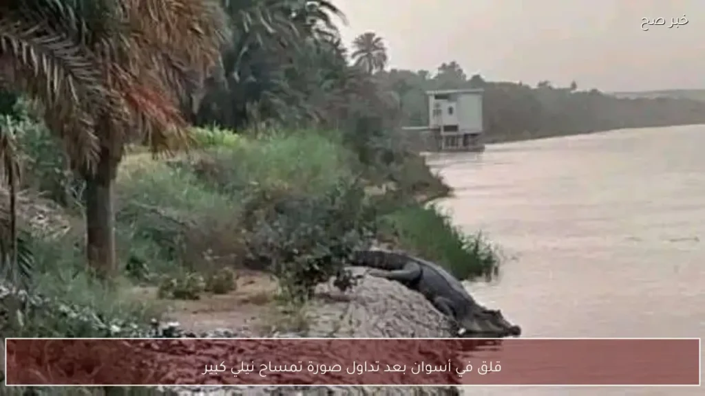 قلق في أسوان بعد تداول صورة تمساح نيلي كبير