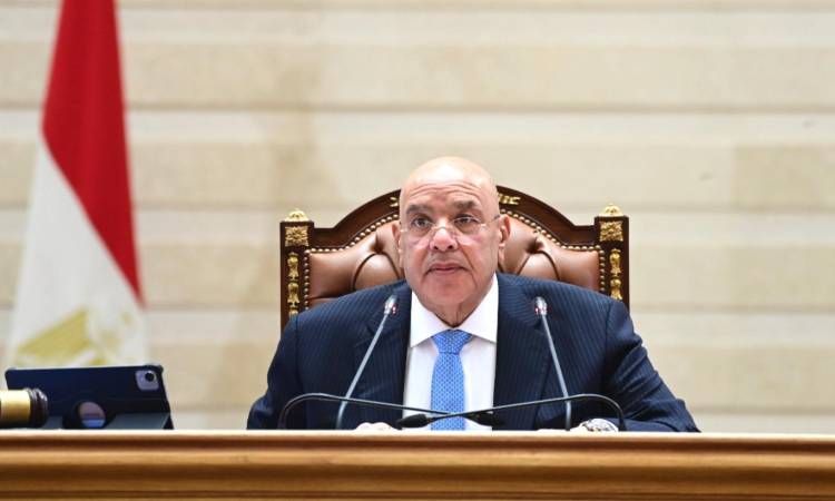 المستشار هشام بدوي