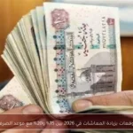 توقعات بزيادة المعاشات في 2026 بين 15% و20% مع موعد الصرف