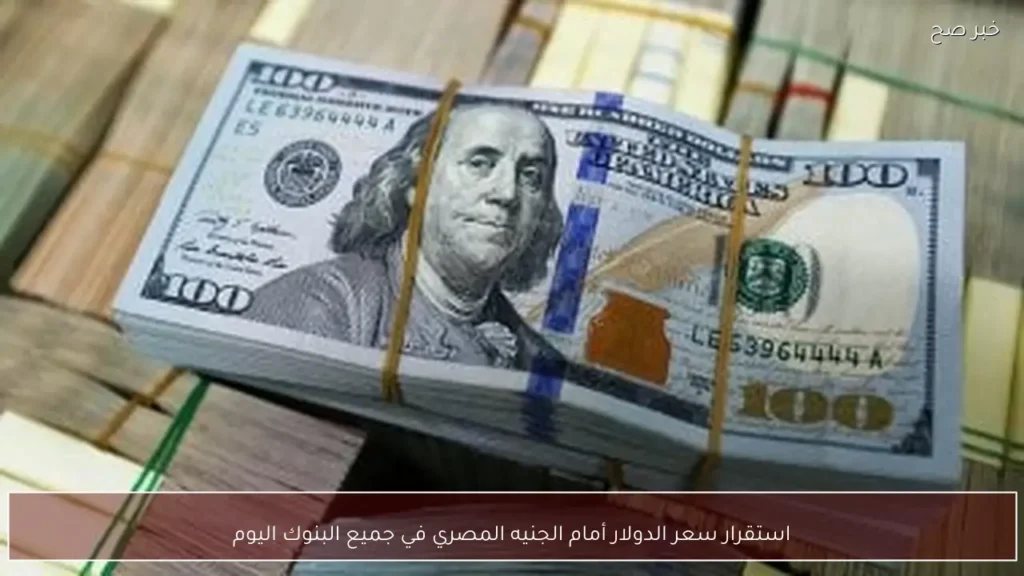 استقرار سعر الدولار أمام الجنيه المصري في جميع البنوك اليوم