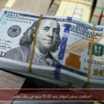 استقرار سعر الدولار عند 51.07 جنيه في بنك مصر