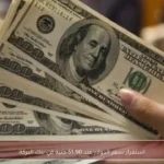 استقرار سعر الدولار عند 51.90 جنيه في بنك البركة