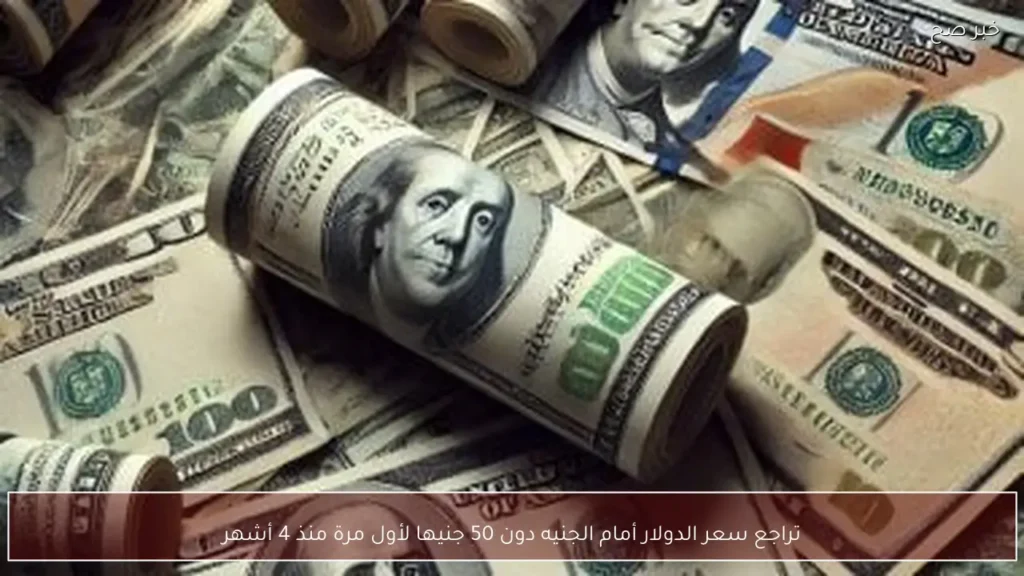 تراجع سعر الدولار أمام الجنيه دون 50 جنيها لأول مرة منذ 4 أشهر