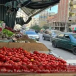 استقرار أسعار الخضار والفاكهة في الشرقية اليوم 16 يونيو 2026