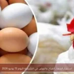 استقرار أسعار الفراخ والبيض في الشرقية اليوم 15 يونيو 2026