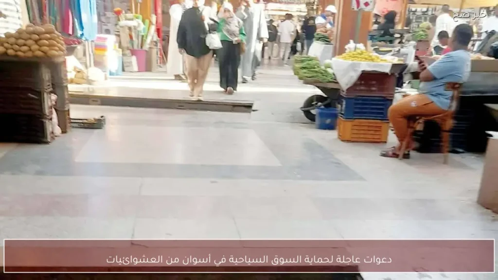 دعوات عاجلة لحماية السوق السياحية في أسوان من العشوائيات