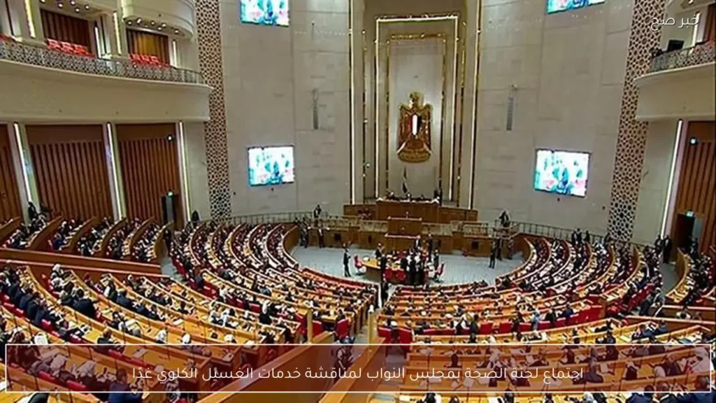 اجتماع لجنة الصحة بمجلس النواب لمناقشة خدمات الغسيل الكلوي غدًا