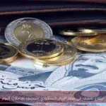 ارتفاع طفيف في سعر الريال السعودي منتصف تعاملات اليوم