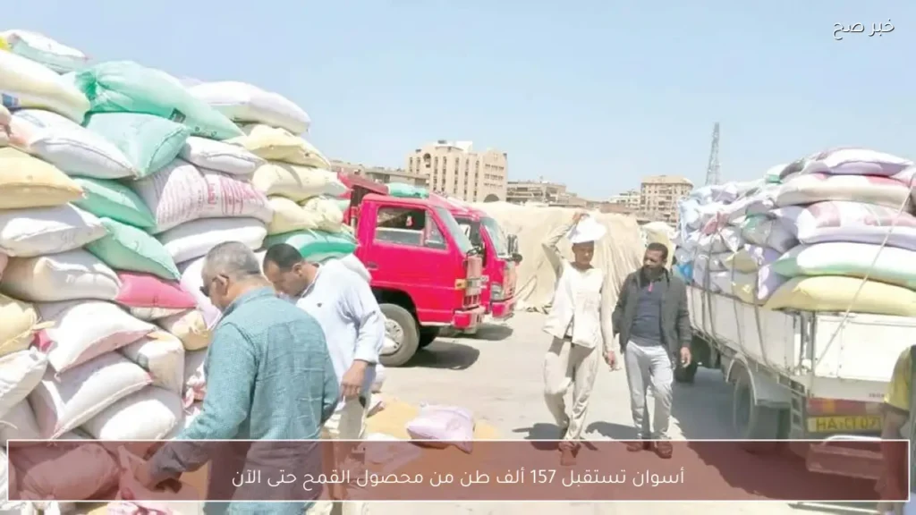 أسوان تستقبل 157 ألف طن من محصول القمح حتى الآن