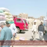 أسوان تستقبل 157 ألف طن من محصول القمح حتى الآن