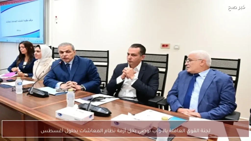 لجنة القوى العاملة بالنواب توصي بحل أزمة نظام المعاشات بحلول أغسطس