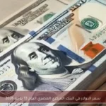 سعر الدولار في البنك المركزي المصري اليوم 13 يونيو 2026