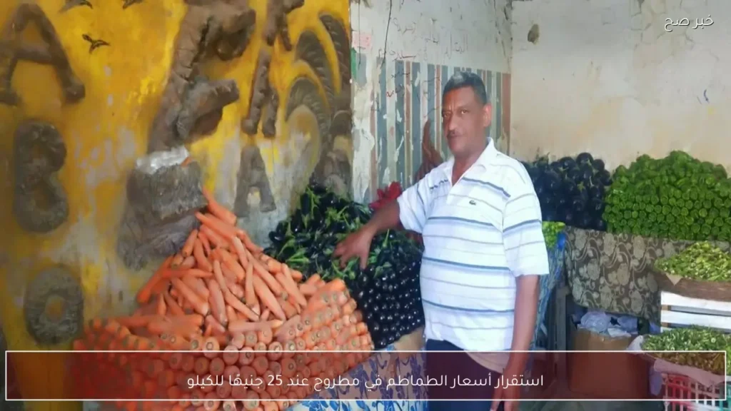 استقرار أسعار الطماطم في مطروح عند 25 جنيهًا للكيلو