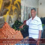استقرار أسعار الطماطم في مطروح عند 25 جنيهًا للكيلو