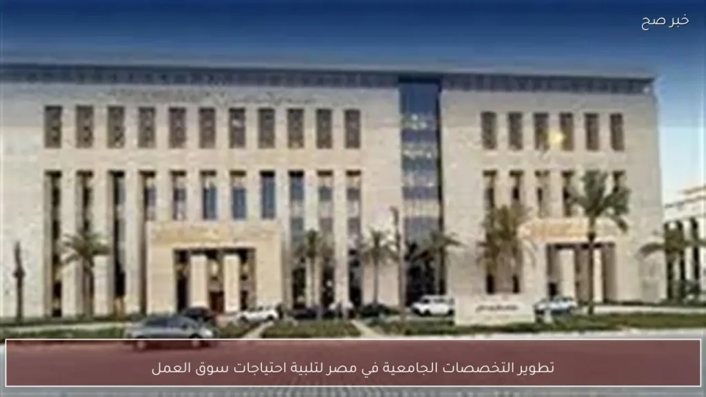 تطوير التخصصات الجامعية في مصر لتلبية احتياجات سوق العمل