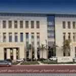تطوير التخصصات الجامعية في مصر لتلبية احتياجات سوق العمل